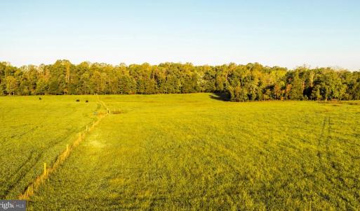 Photo #8 of 3553 BIBB STORE RD, LOUISA, VA 12.4 acres