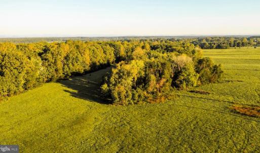 Photo #6 of 3553 BIBB STORE RD, LOUISA, VA 12.4 acres