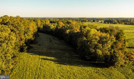 Photo #4 of 3553 BIBB STORE RD, LOUISA, VA 12.4 acres