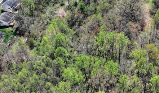 Photo #9 of 934 SPERRYVILLE, CULPEPER, VA 5.0 acres