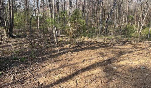 Photo #6 of HISTORIC LANE, MINERAL, VA 1.2 acres