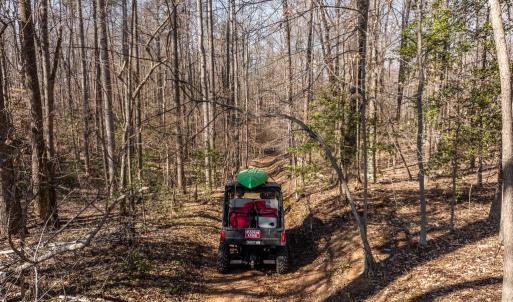 Photo #17 of 4 DILLARD RD, FREDERICKSBURG, VA 5.1 acres