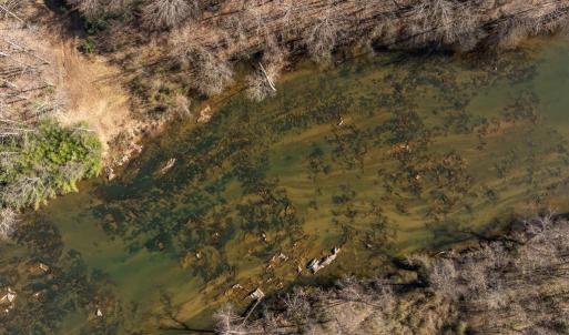 Photo #14 of 4 DILLARD RD, FREDERICKSBURG, VA 5.1 acres