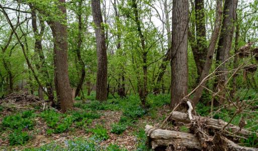 Photo #22 of RIVER VIEW ROAD, SHENANDOAH, VA 1.0 acres