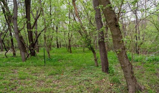 Photo #18 of RIVER VIEW ROAD, SHENANDOAH, VA 1.0 acres