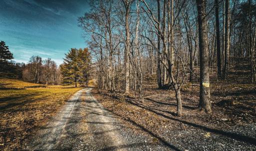 Photo #5 of HIDDEN SPRINGS DR, MARSHALL, VA 6.4 acres