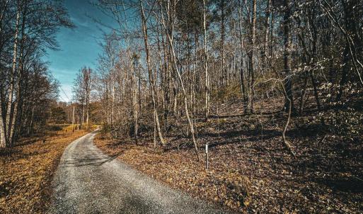 Photo #6 of HIDDEN SPRINGS DR, MARSHALL, VA 6.4 acres