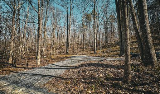 Photo #12 of HIDDEN SPRINGS DR, MARSHALL, VA 6.4 acres