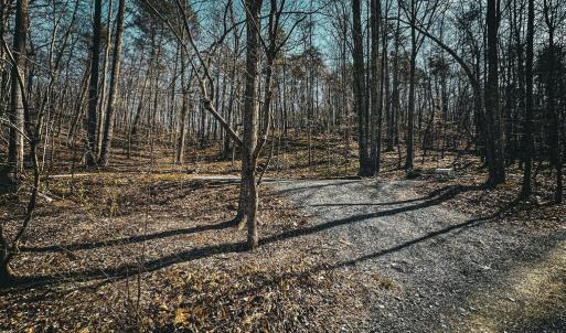 Photo #14 of HIDDEN SPRINGS DR, MARSHALL, VA 6.4 acres