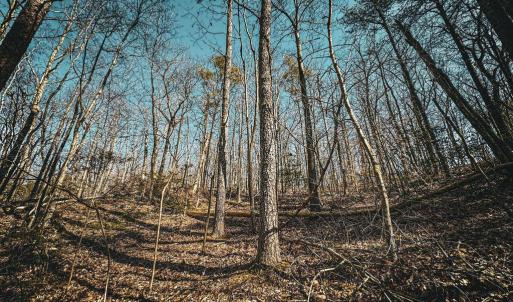 Photo #18 of HIDDEN SPRINGS DR, MARSHALL, VA 6.4 acres