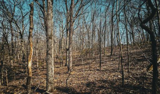 Photo #19 of HIDDEN SPRINGS DR, MARSHALL, VA 6.4 acres