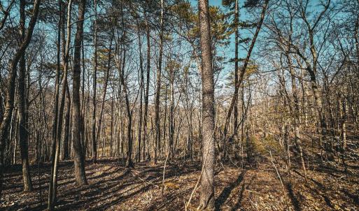 Photo #20 of HIDDEN SPRINGS DR, MARSHALL, VA 6.4 acres