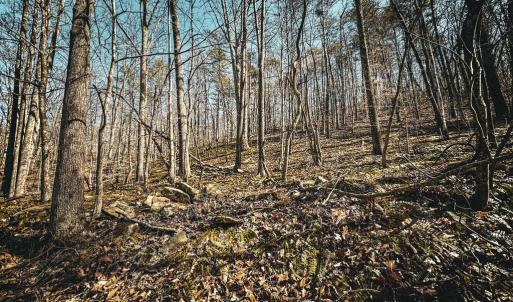 Photo #21 of HIDDEN SPRINGS DR, MARSHALL, VA 6.4 acres
