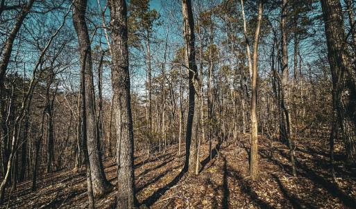 Photo #22 of HIDDEN SPRINGS DR, MARSHALL, VA 6.4 acres