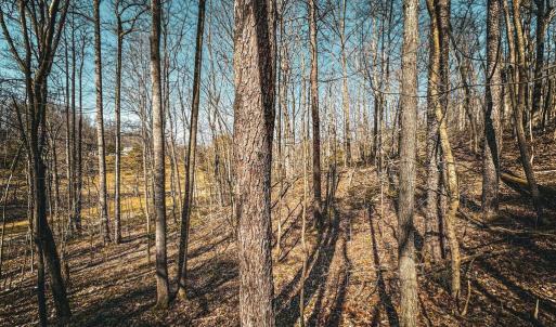 Photo #23 of HIDDEN SPRINGS DR, MARSHALL, VA 6.4 acres