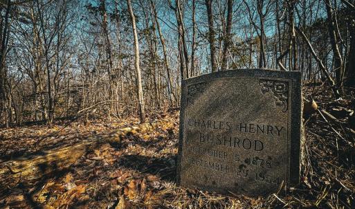 Photo #24 of HIDDEN SPRINGS DR, MARSHALL, VA 6.4 acres