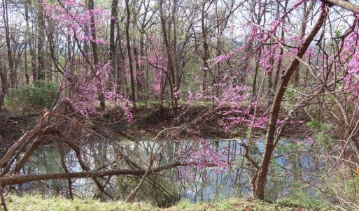 Photo #2 of REDIVIVA LN, WASHINGTON, VA 52.5 acres