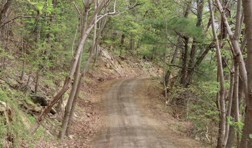 Photo #6 of REDIVIVA LN, WASHINGTON, VA 52.5 acres