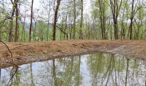 Photo #10 of REDIVIVA LN, WASHINGTON, VA 52.5 acres