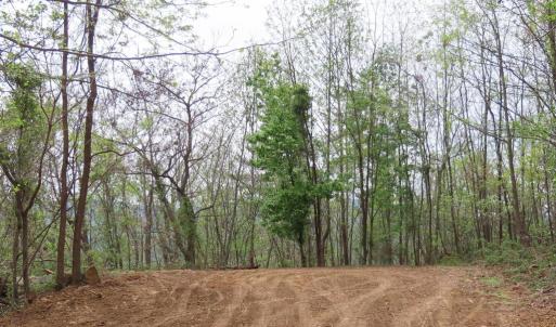 Photo #3 of REDIVIVA LN, WASHINGTON, VA 52.5 acres