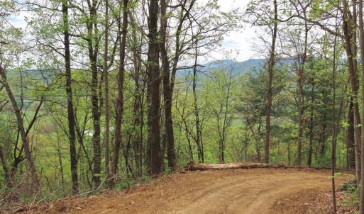 Photo #7 of REDIVIVA LN, WASHINGTON, VA 52.5 acres