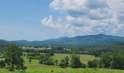 Photo #5 of REDIVIVA LN, WASHINGTON, VA 52.5 acres