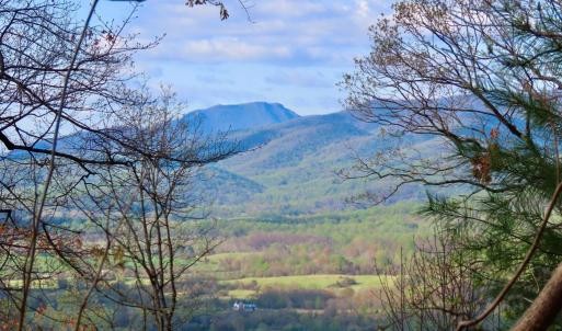 Photo #1 of REDIVIVA LN, WASHINGTON, VA 52.5 acres