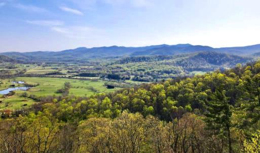 Photo #5 of REDIVIVA LN, WASHINGTON, VA 52.5 acres