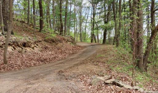 Photo #6 of REDIVIVA LN, WASHINGTON, VA 52.5 acres