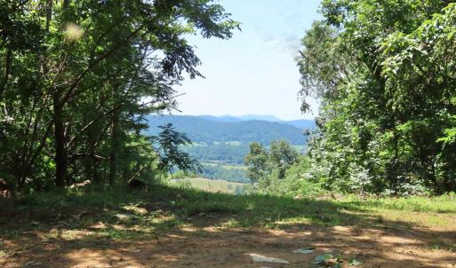 Photo #2 of REDIVIVA LN, WASHINGTON, VA 52.5 acres