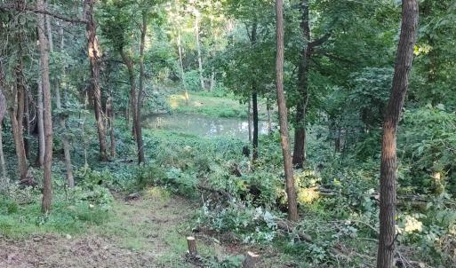 Photo #4 of REDIVIVA LN, WASHINGTON, VA 52.5 acres