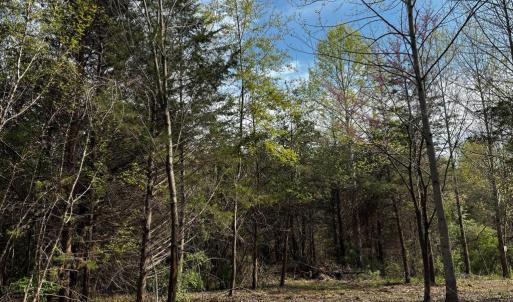 Photo #2 of 0 CASTLETON FORD, CASTLETON, VA 8.9 acres