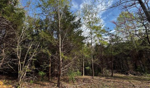Photo #3 of 0 CASTLETON FORD, CASTLETON, VA 8.9 acres