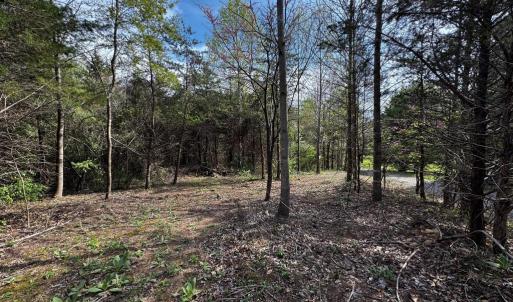 Photo #1 of 0 CASTLETON FORD, CASTLETON, VA 8.9 acres