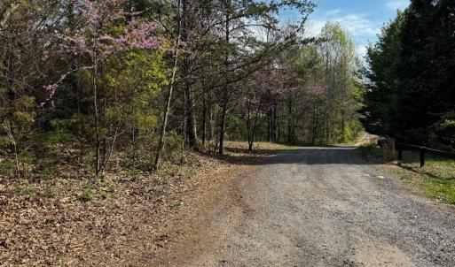Photo #4 of 0 CASTLETON FORD, CASTLETON, VA 8.9 acres