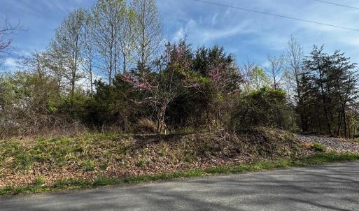 Photo #7 of 0 CASTLETON FORD, CASTLETON, VA 8.9 acres