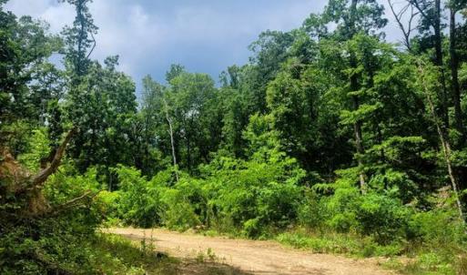 Photo #4 of US HWY 340 GALLOWAY SPRINGS, STANLEY, VA 32.0 acres