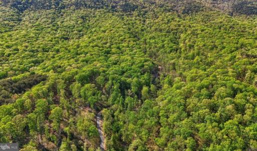 Photo #11 of US HWY 340 GALLOWAY SPRINGS, STANLEY, VA 32.0 acres