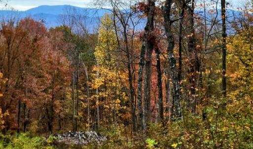 Photo #6 of US HWY 340 GALLOWAY SPRINGS, STANLEY, VA 32.0 acres