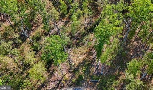 Photo #8 of US HWY 340 GALLOWAY SPRINGS, STANLEY, VA 32.0 acres