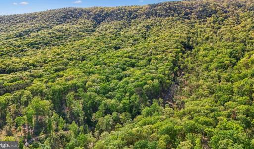 Photo #12 of US HWY 340 GALLOWAY SPRINGS, STANLEY, VA 32.0 acres