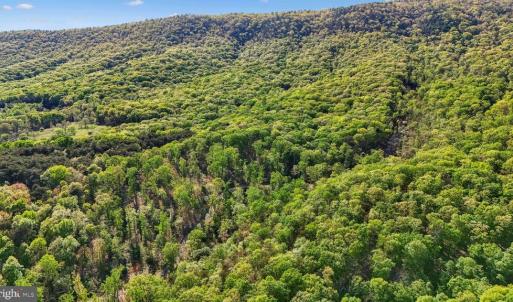 Photo #1 of US HWY 340 GALLOWAY SPRINGS, STANLEY, VA 32.0 acres