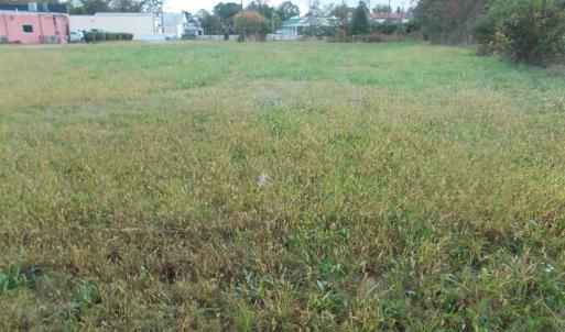 Photo #12 of 713 Broad, Edenton, NC 1.9 acres