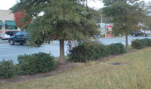 Photo #26 of 713 Broad, Edenton, NC 1.9 acres
