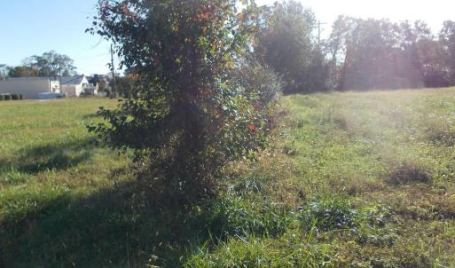 Photo #14 of 713 Broad, Edenton, NC 1.9 acres