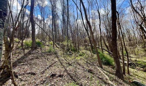 Photo #8 of HILLSIDE DR., STANLEY, VA 3.0 acres