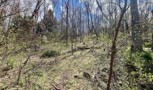 Photo #9 of HILLSIDE DR., STANLEY, VA 3.0 acres