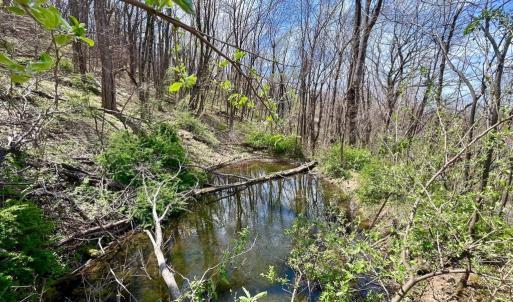 Photo #4 of HILLSIDE DR., STANLEY, VA 3.0 acres