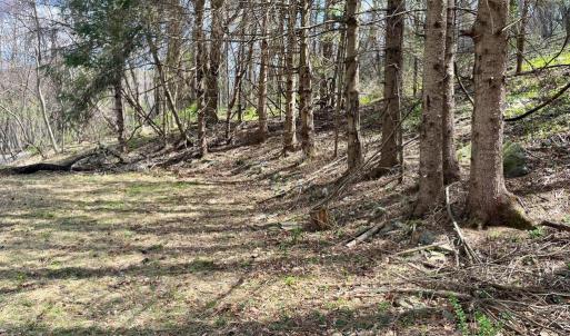 Photo #10 of HILLSIDE DR., STANLEY, VA 3.0 acres