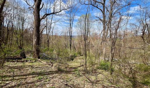 Photo #11 of HILLSIDE DR., STANLEY, VA 3.0 acres